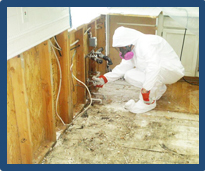 Mold Cleanup